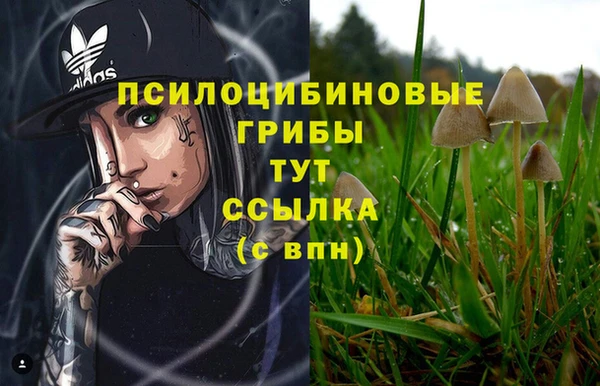 марки nbome Аркадак