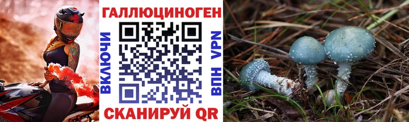Галлюциногенные грибы Magic Shrooms blacksprut зеркало Рославль